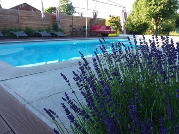 Chambres D Hotes ,Hotel ,Secret D'Une Nuit A Vicq Pres De Valenciennes,Onnaing,Saint Saulve Avec Piscine Exterior foto